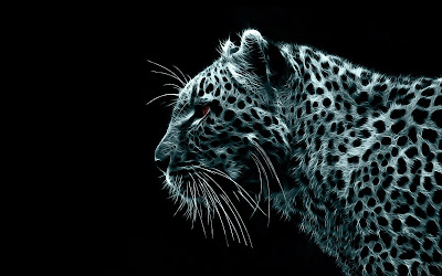 Wallpapers For Mac OS X Leapard HD 1080px