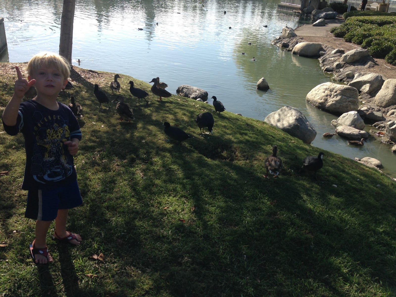 Beautiful Life Adventures With A Half Empty Jogging Stroller