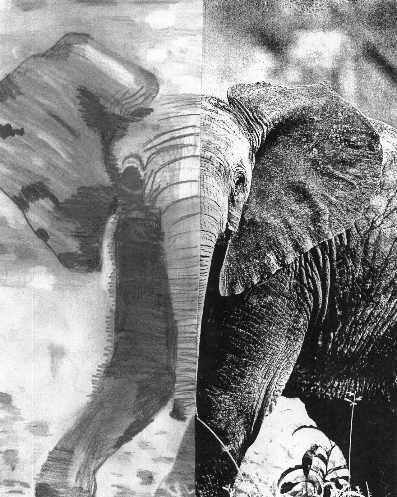 the art classroom The Other Half (Intro to Art Drawing Assignment)