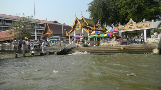 Download this Menyusuri Sungai Chao Phraya Bangkok Thailand picture