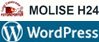 MOLISEH24/WORDPRESS