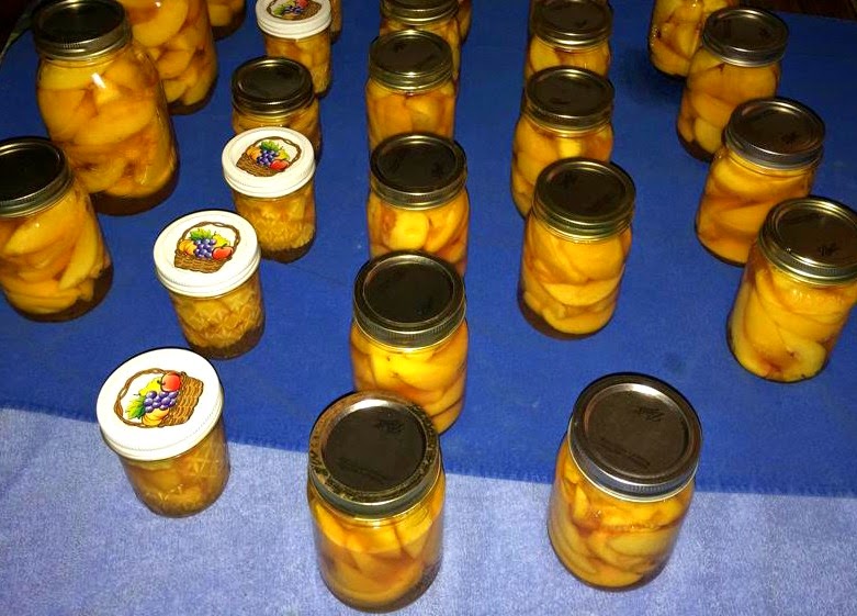 Canning Peaches A NoSugar, StepbyStep Recipe