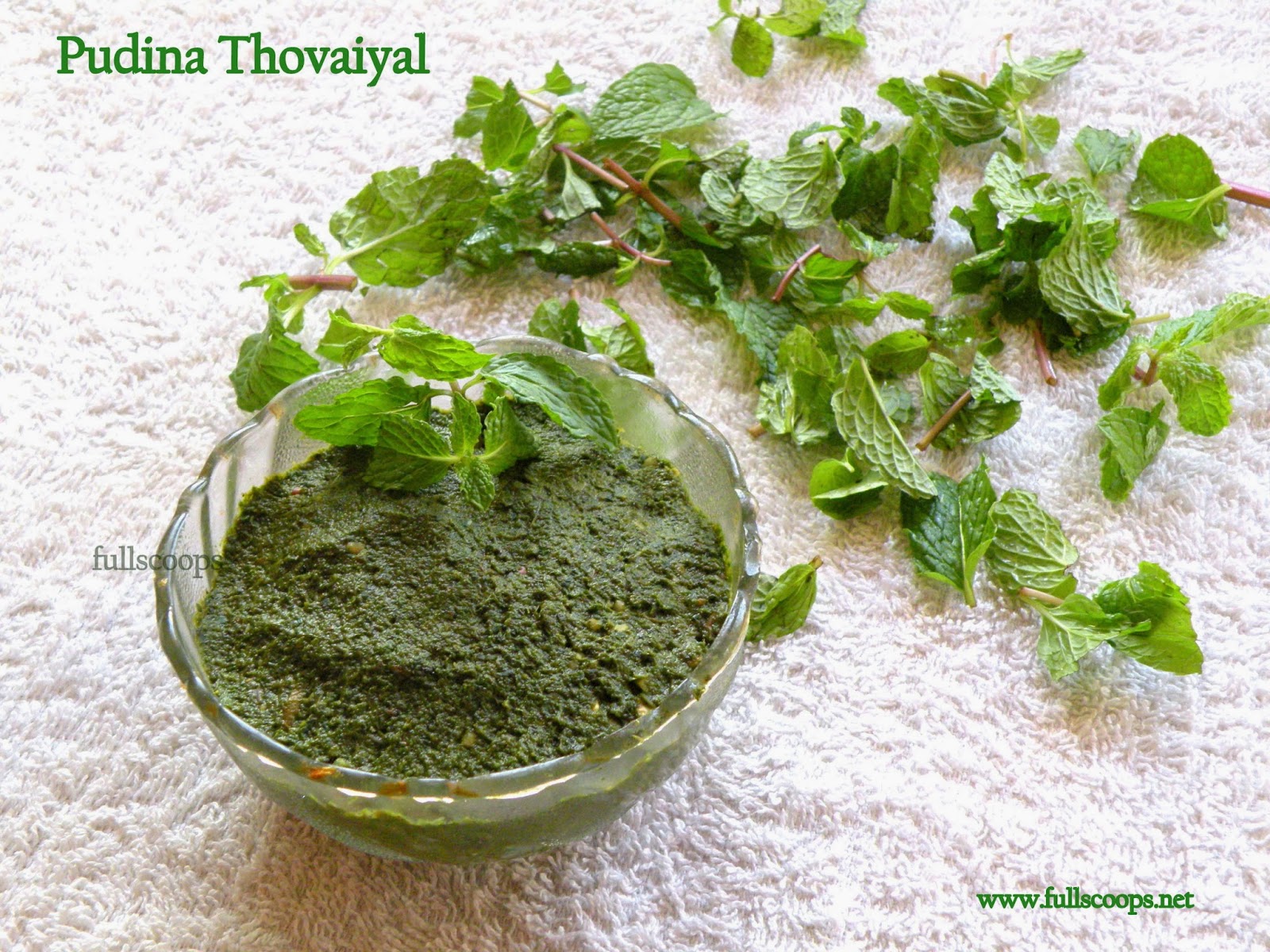 Mint Thogayal Recipe / Pudina Thovaiyal Recipe Full Scoops A food