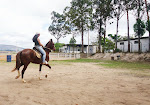 Amazonas