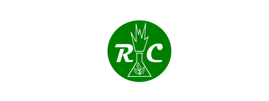 The Responsibility Catalyst