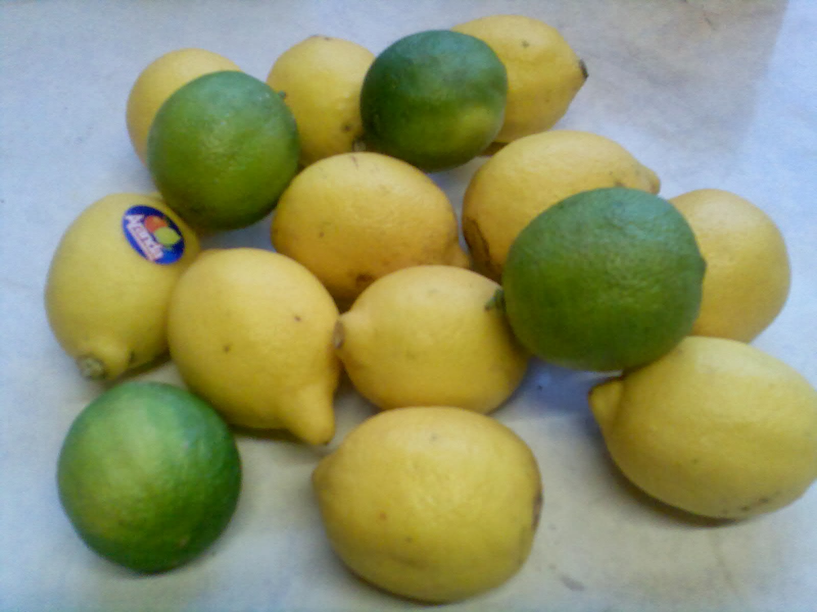 Ben's Adventures in Wine Making Lemon & Lime Wine The Making Of