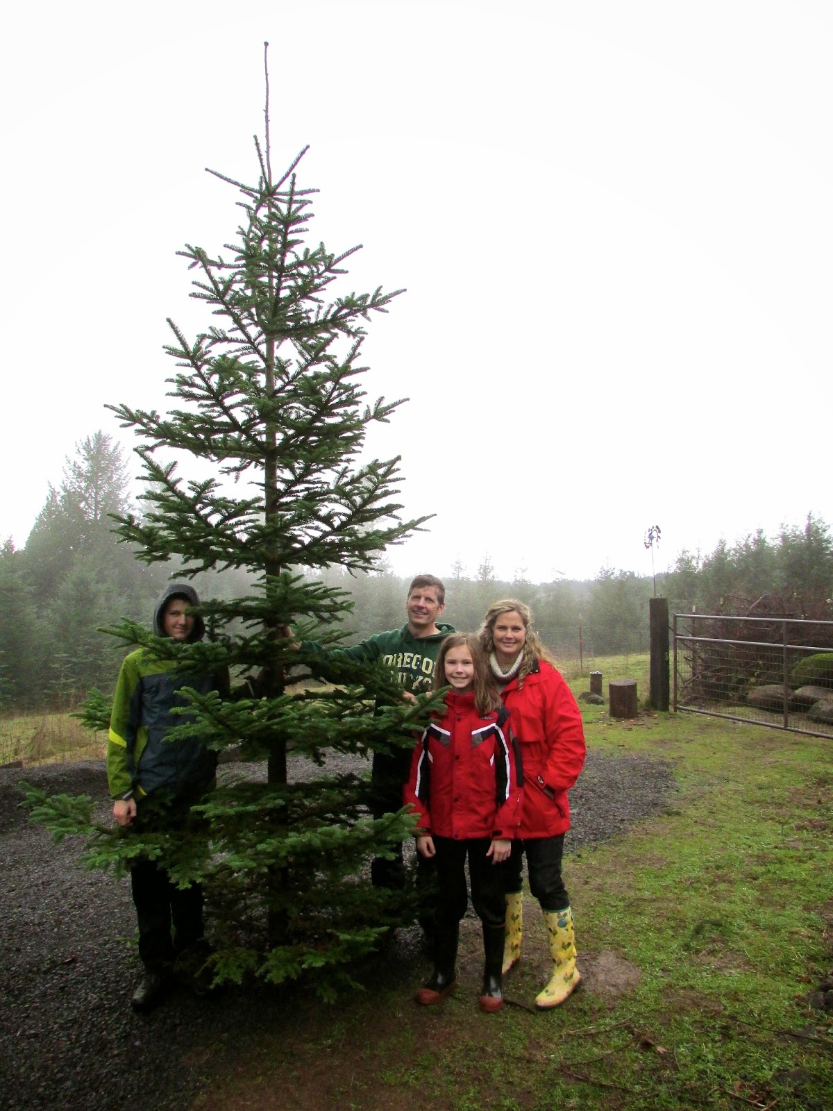Corner Crest Natural Farm Customer Gallery 2014