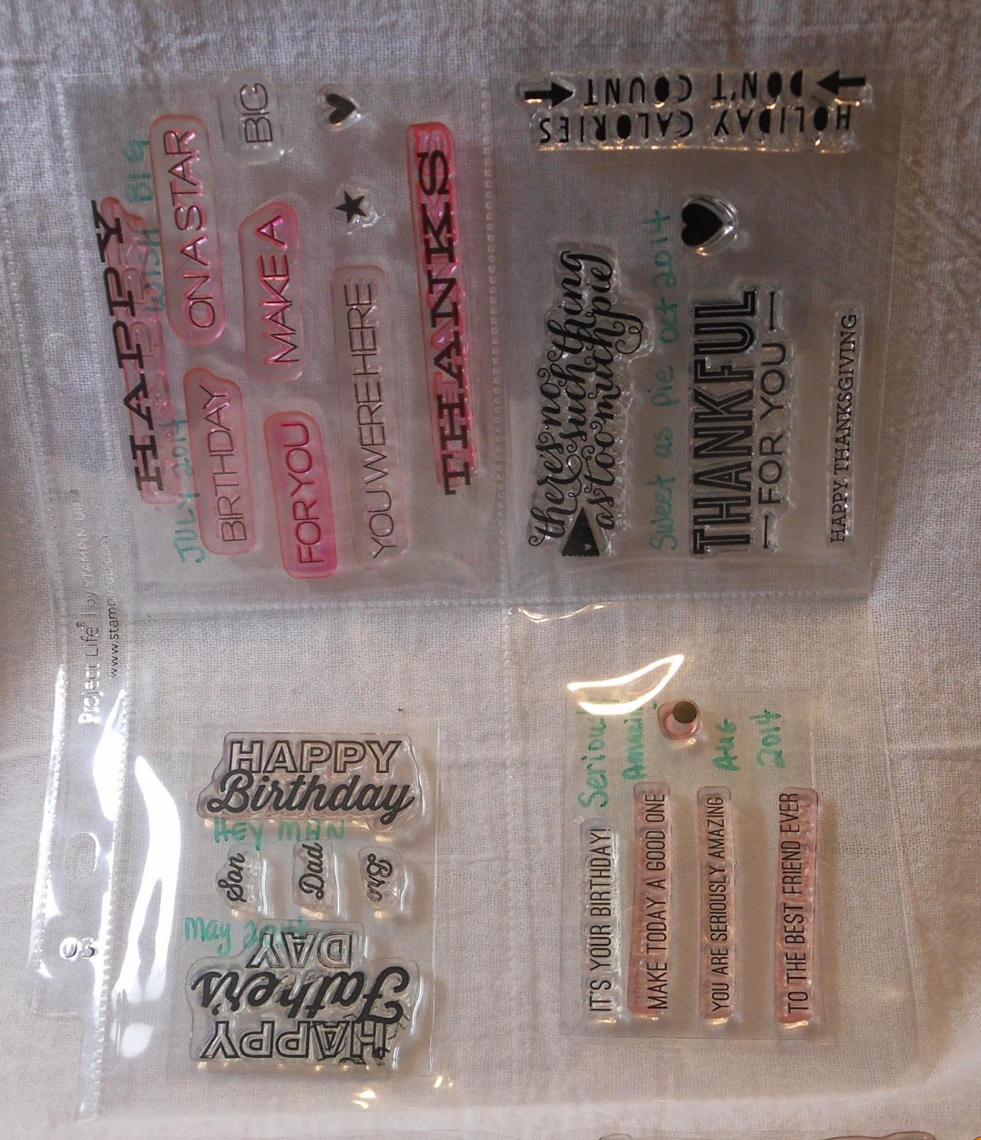 Stamps Well With Others Storing My Paper Pumpkin Stamps