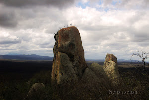 PEDRA DO MACACO