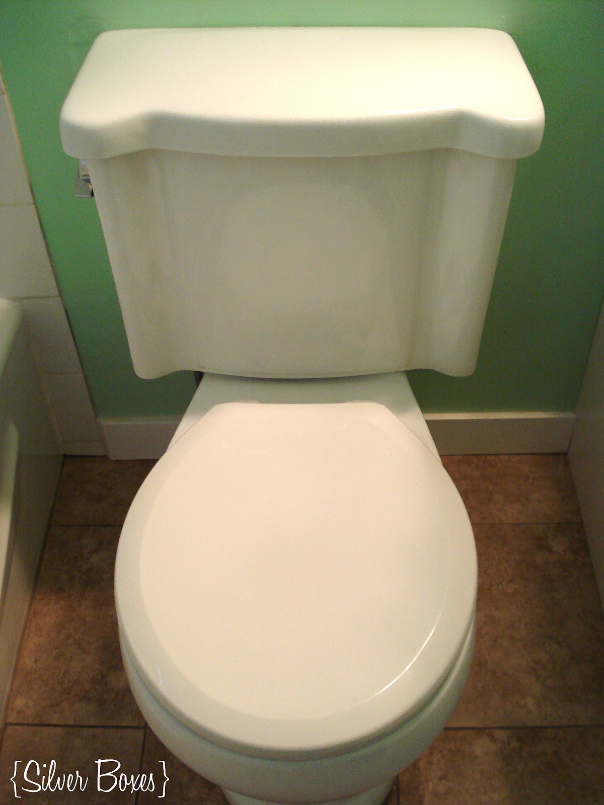 Silver Boxes The Dish Soap Challenge. Week Two The Toilet