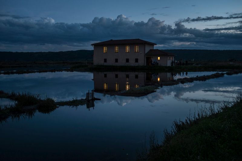 Roti Gelstain Red 1 Ml 1 X 1 Ml Farbung Von Dna Gelen