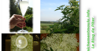 wa fumi à la rencontre des saveurs du japon