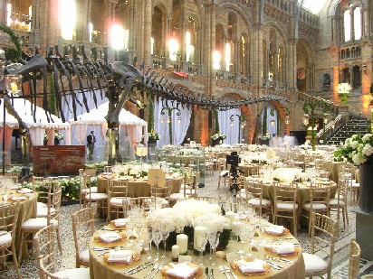 Or even a Museum fancy having a dinosaur as a guest