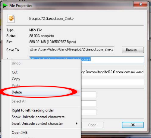 Cara Download Video Dari Youku Tanpa Idm