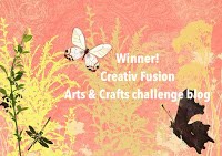 Creativ Fusion Arts & Crafts Winner