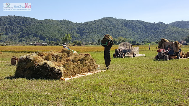 Tham quan làng M'nong trên hồ Lak