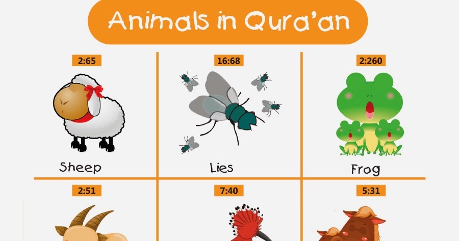 Lessons In Islam: Animal in Quran - (Part-2)
