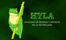 Hyla