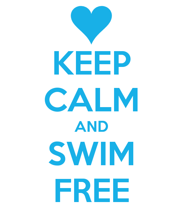 Getting Near Dawn Free Swim Meal For One