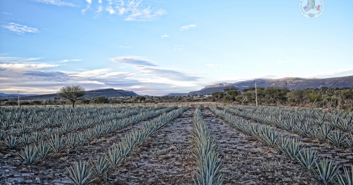Morelos, Zacatecas, México Imagenes Huanusco Zacatecas