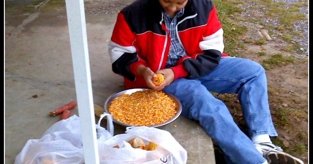 The Walnut Acre Chronicles Bean Bags from Field Corn