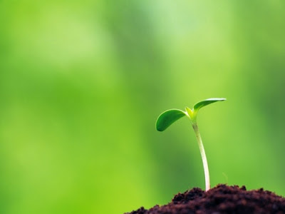 Xin chào. Tôi là cuộc sống Xin chào. Tôi là cuộc sống, xqnb.net