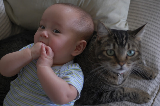 Kids and Pets Seen On www.coolpicturegallery.us