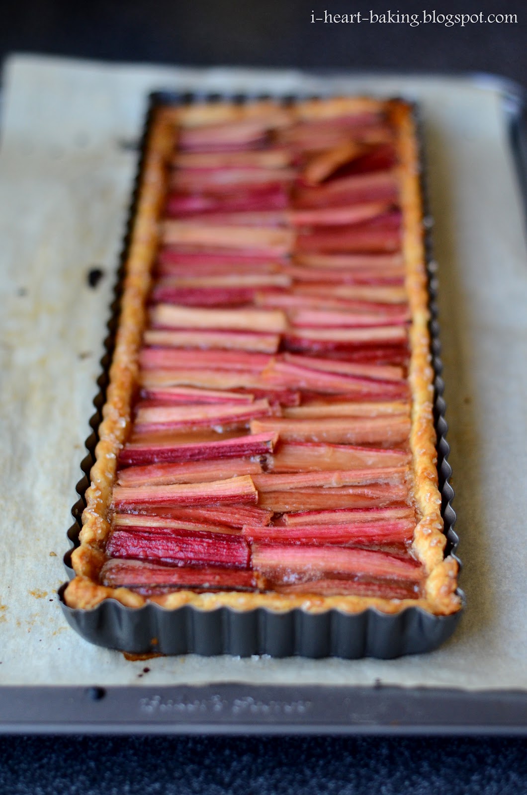 i heart baking! rhubarb and honey tart