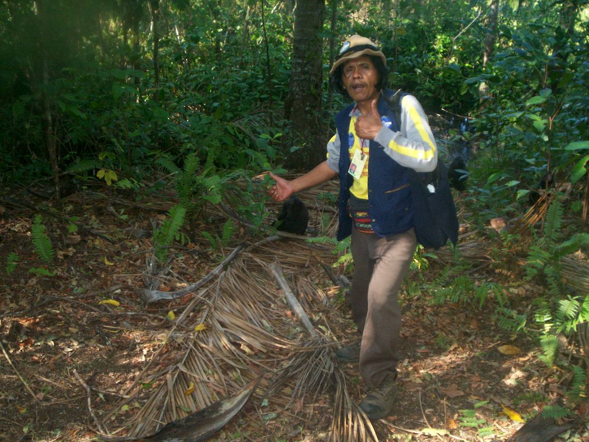 tangkoko trip