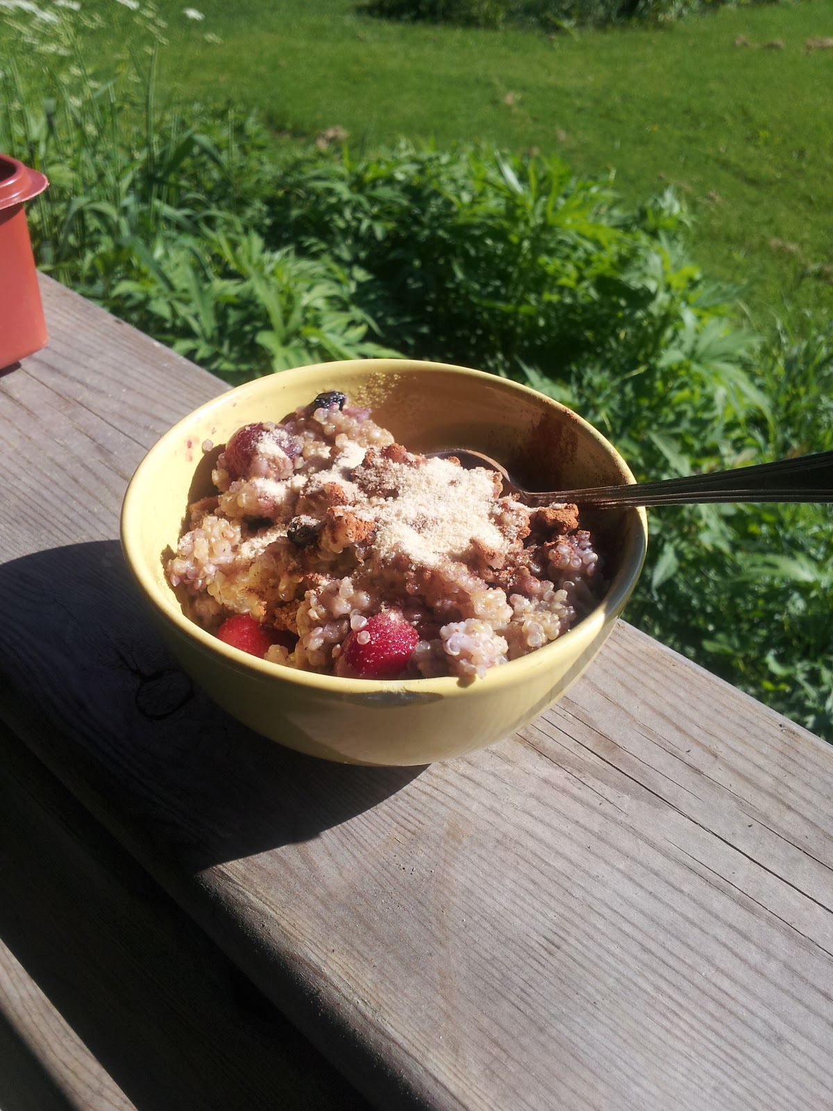 Nancy Guppy, Registered Dietitian (RD) Quinoa Oats Porridge (rice cooker)