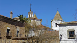 Un palmier à Caceres !