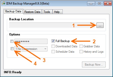 Windows 8 IDM Backup Manager full