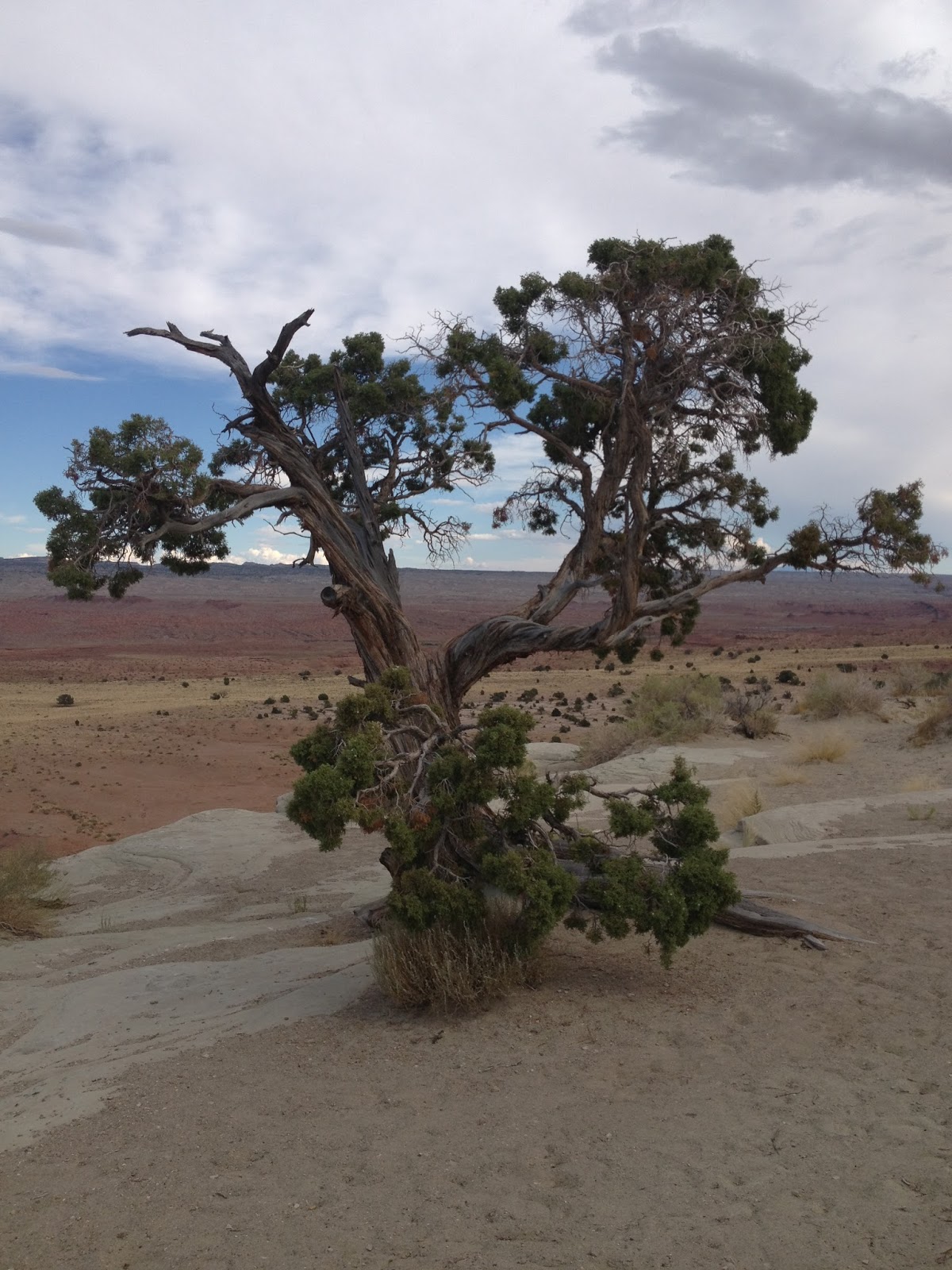 Coast to Coast Roadtrip Day 1 Hurricane, Utah Zion Deli Chow Down USA