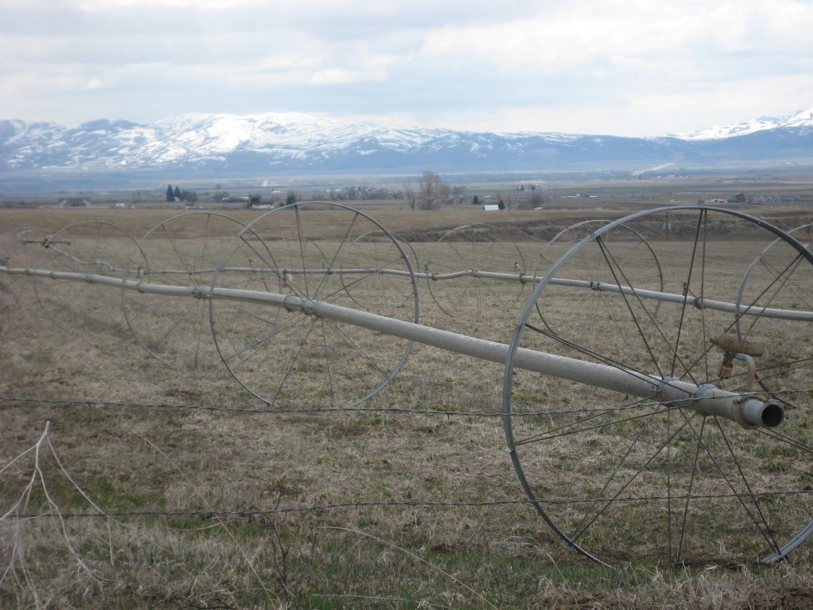 Shell's Photo Album Arimo, Idaho