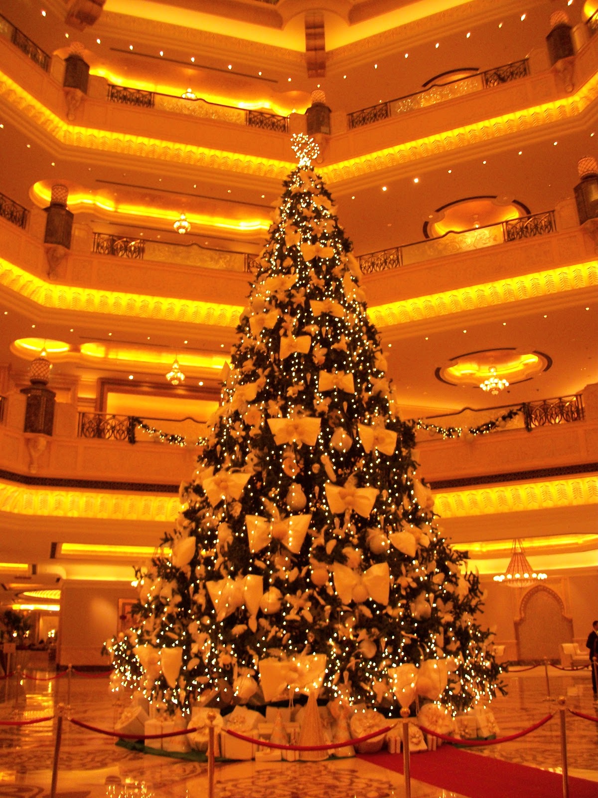 Abu Dhabi Adventures: The Christmas Trees of Abu Dhabi