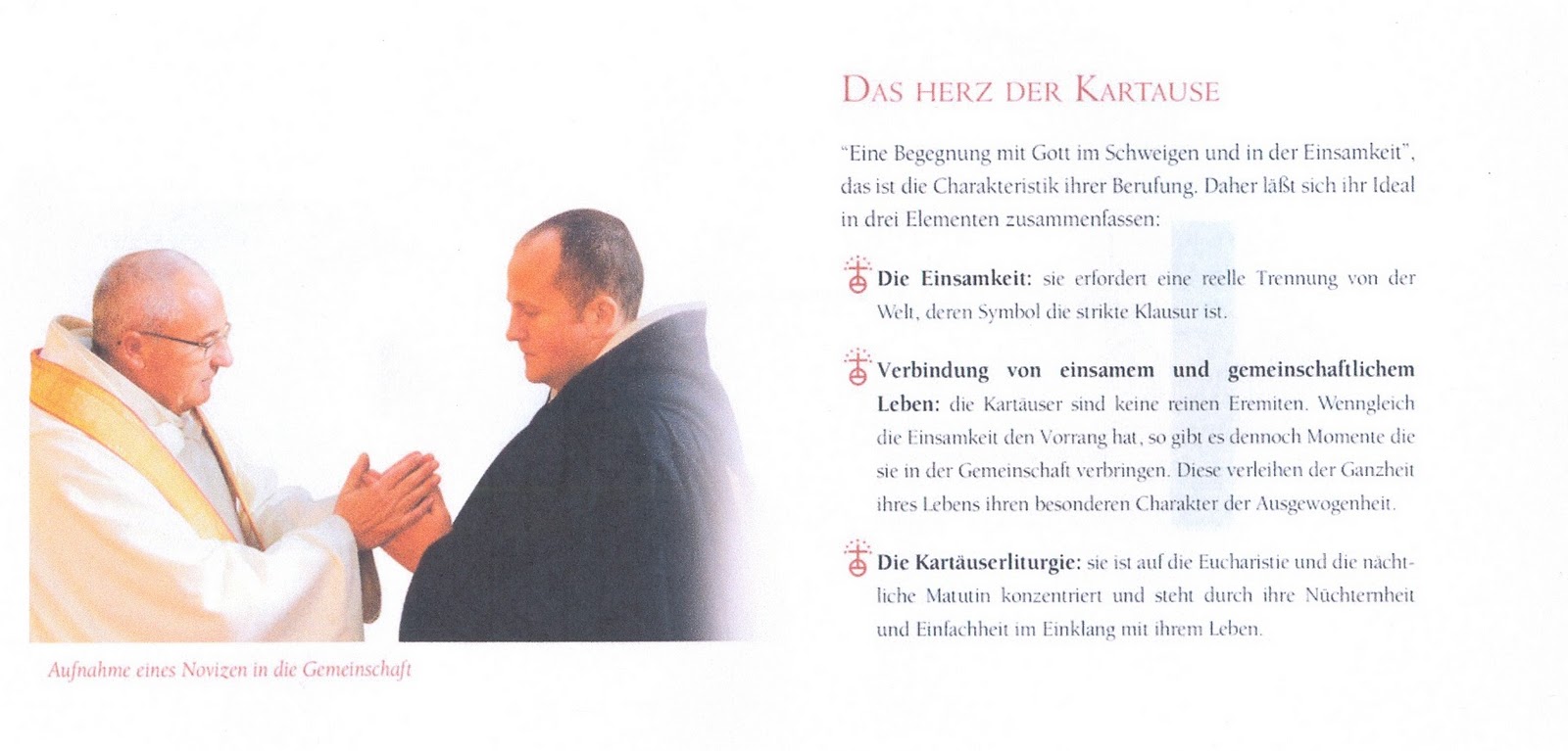 Http Www Amici Online Eu Cursor 15 Pdf