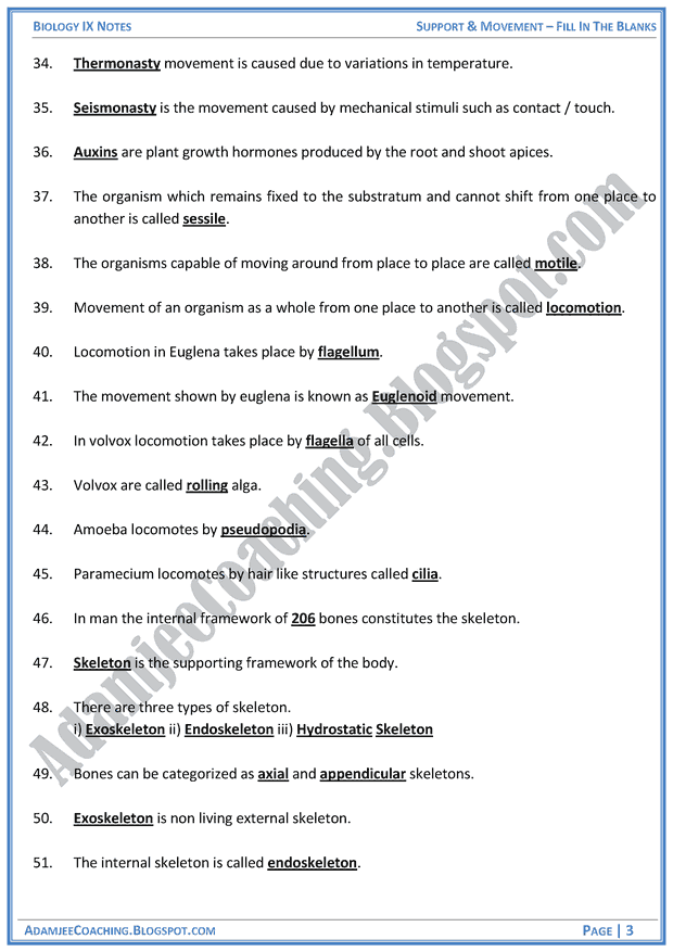 Euglena story free essay image