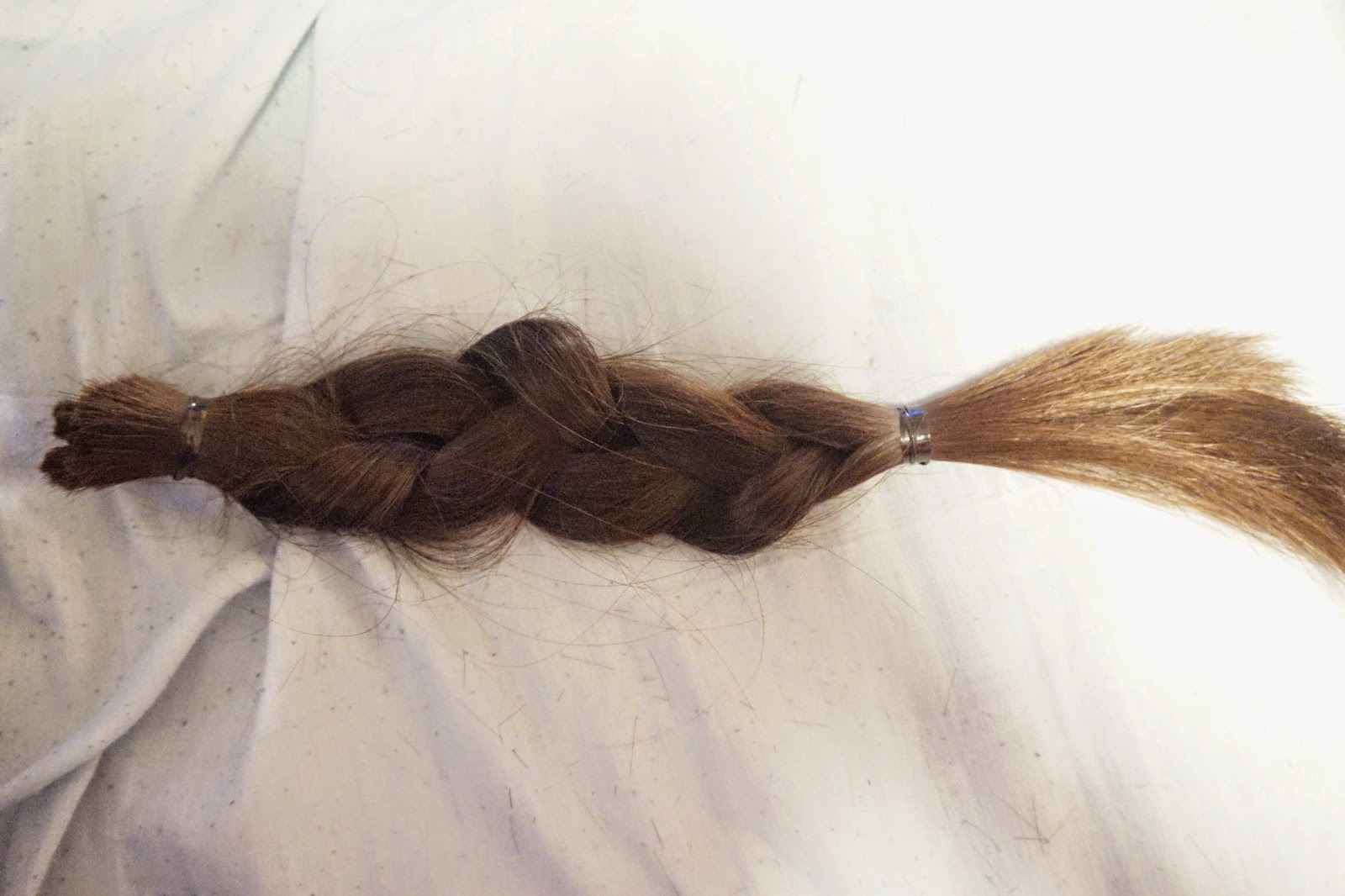 Dusty Foxes Beauty Donating My Hair Going From Long Hair To