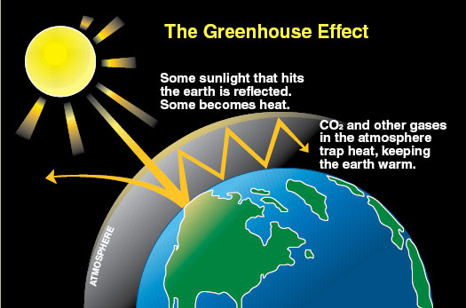 the greenhouse effect does