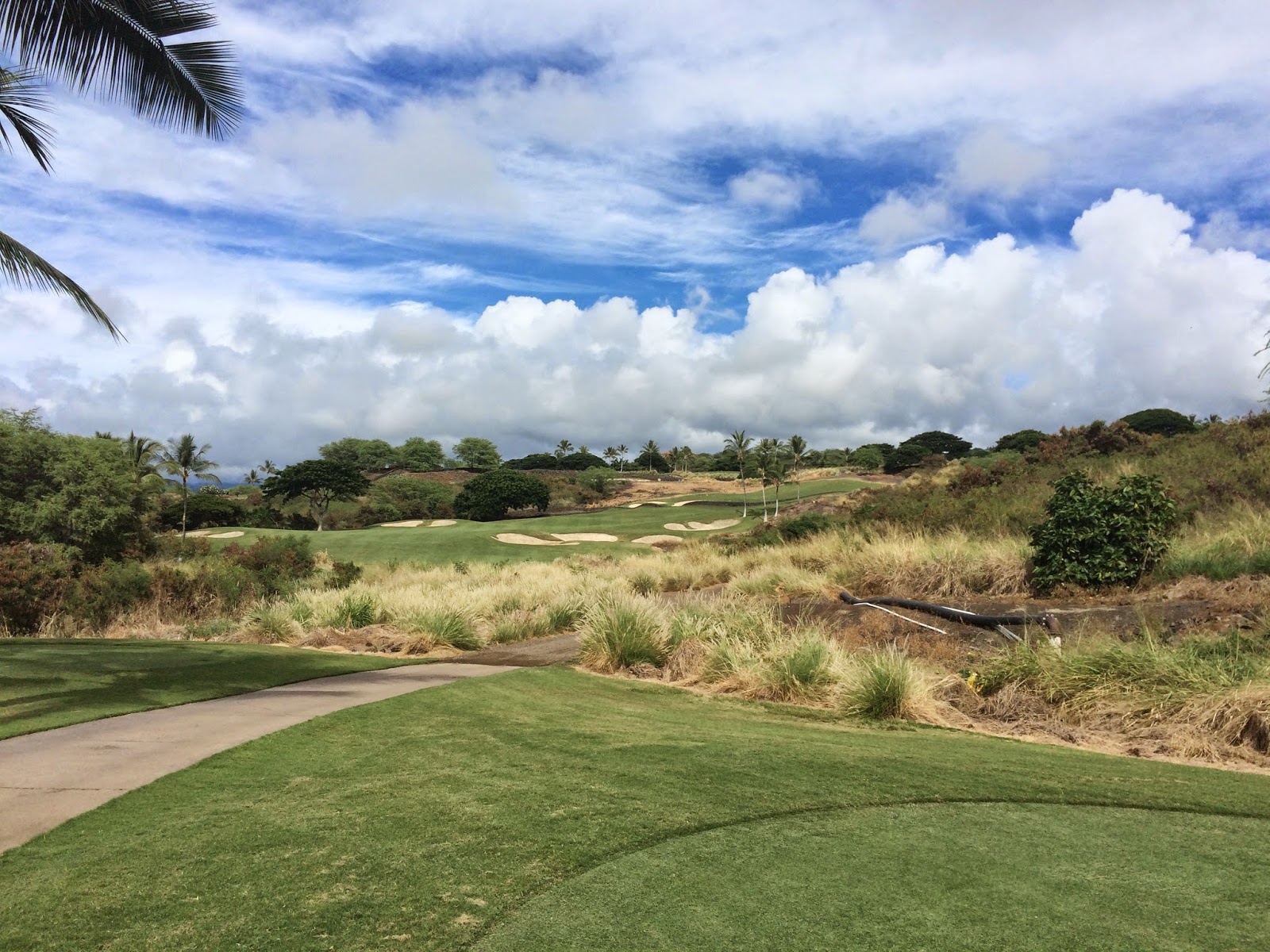 TASTE OF HAWAII HOKULIA GOLF CLUB