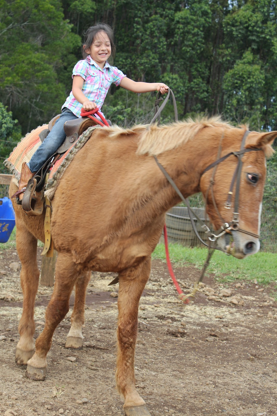 Horseback Riding in Hawaii Livin' the Mommy Life