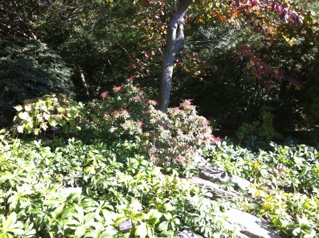 Little Heath Stock Photos Little Heath Stock Images Alamy