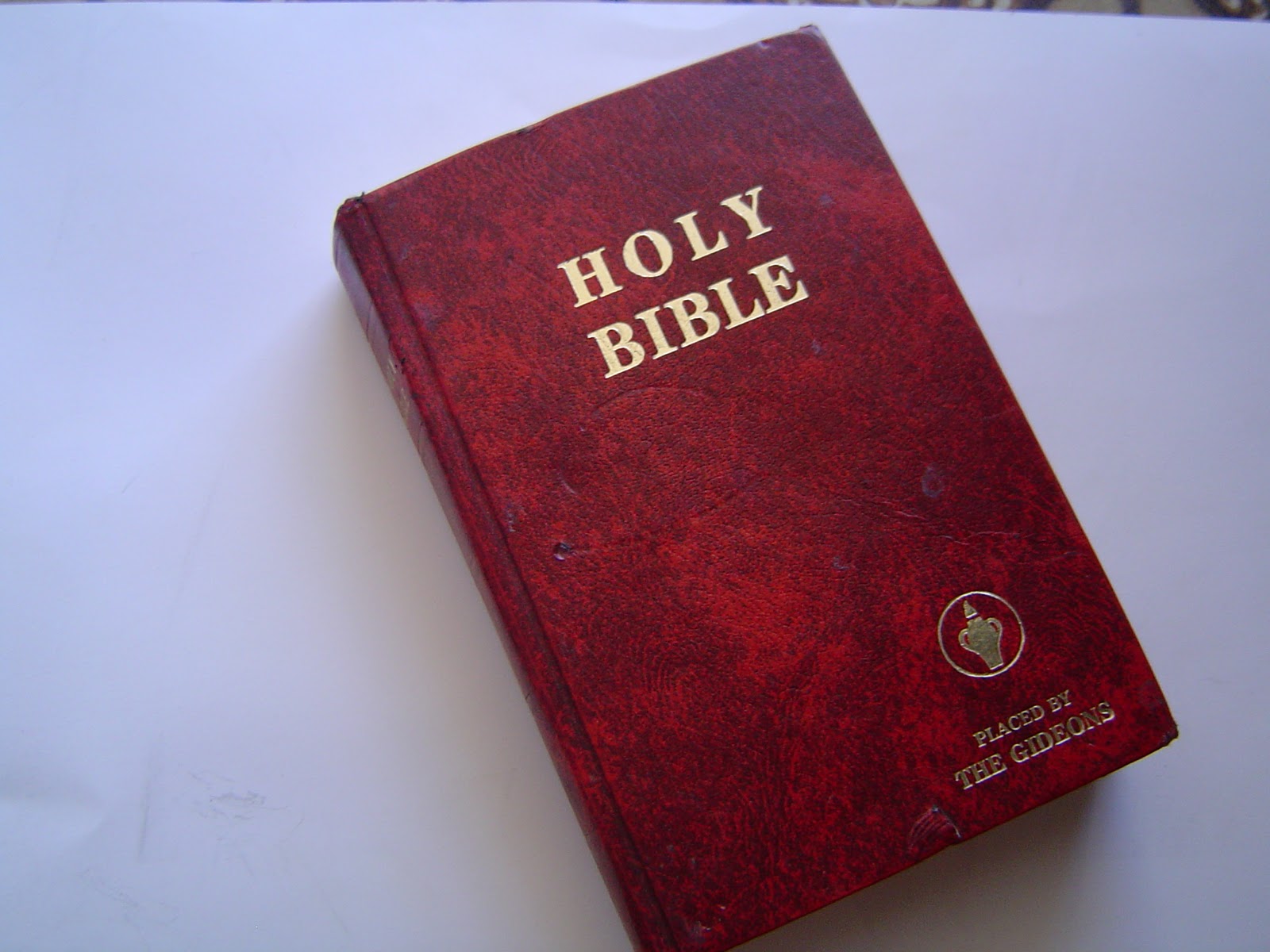 Rare Creature Designs Hidden Gun Compartment "Stash" Bible!