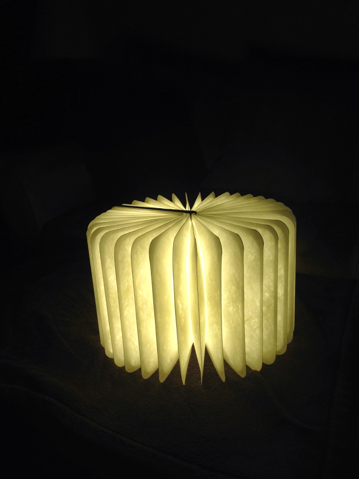 Brier Review Lumio Book Lamp Review