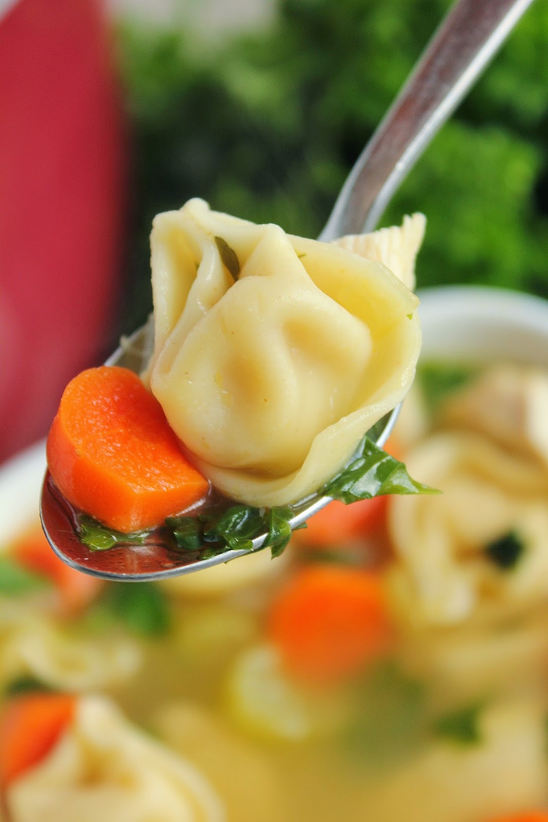 Tortellini Chicken Noodle Soup