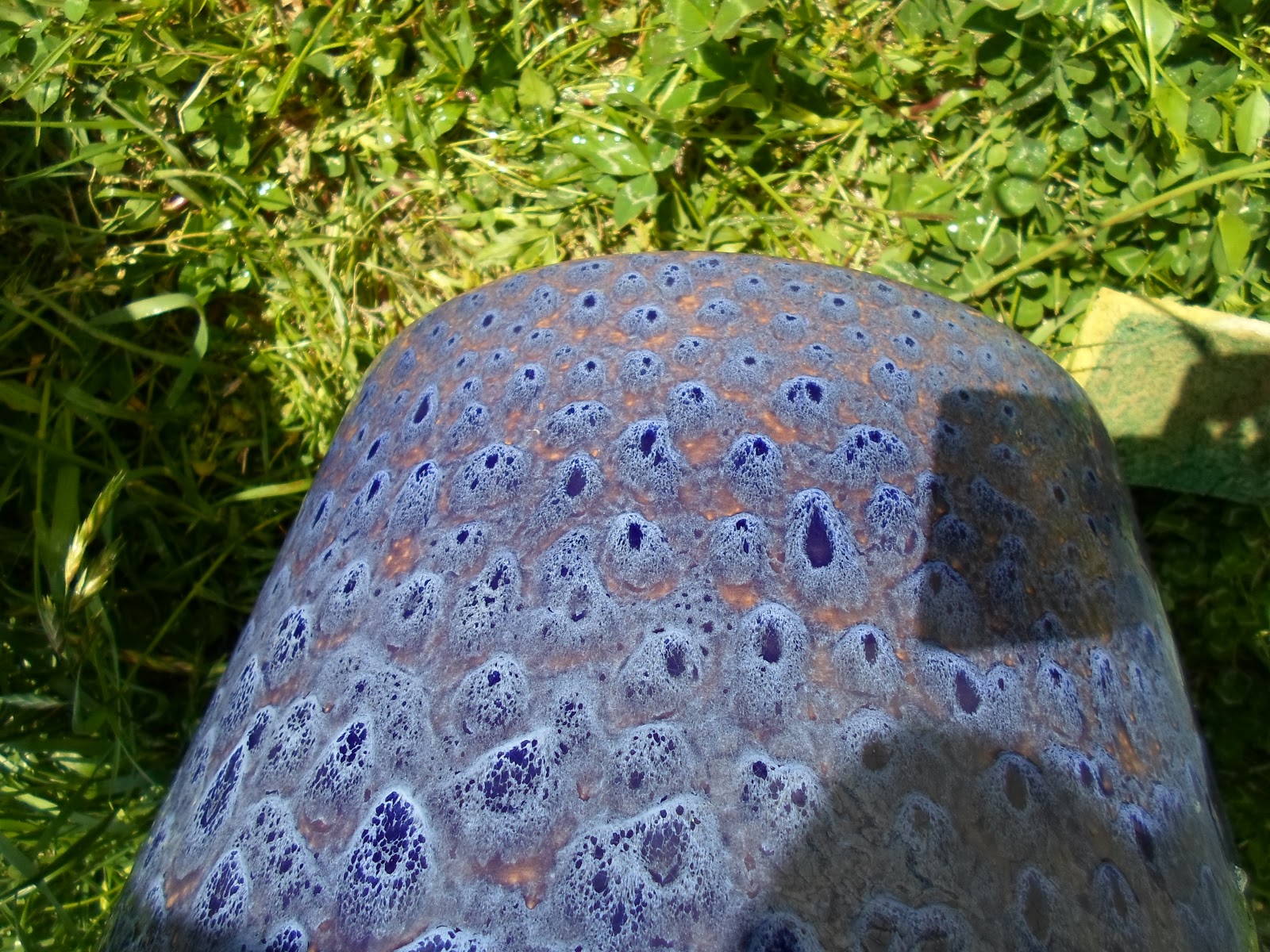 Autumn in Oklahoma Cleaning your flower pots