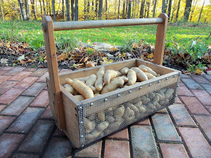 Fingerling Spuds in a Whizbang Garden Tote