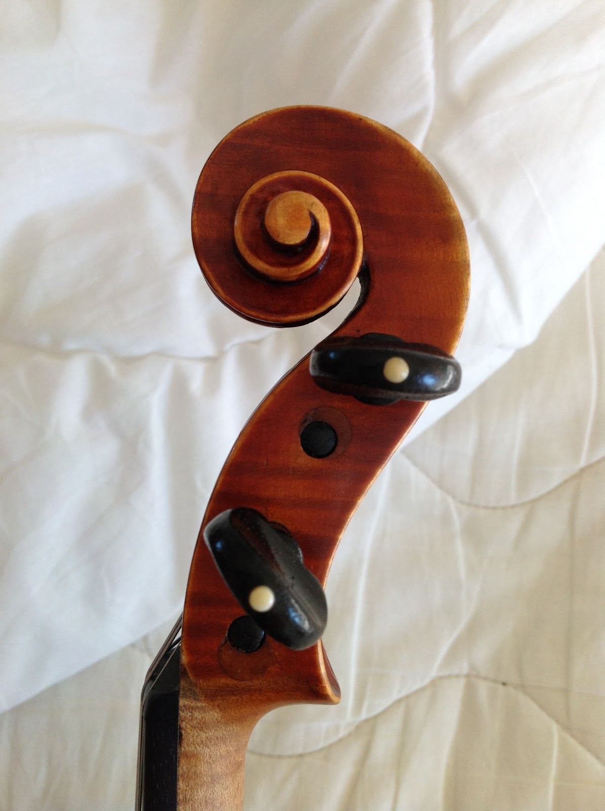 Fine Violins for Collectors and Musicians Modern Italian Violin (20th