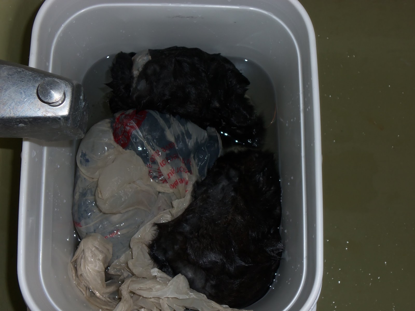 Homegrown Lifestyle Alum Tanning Rabbit Hides Part 1