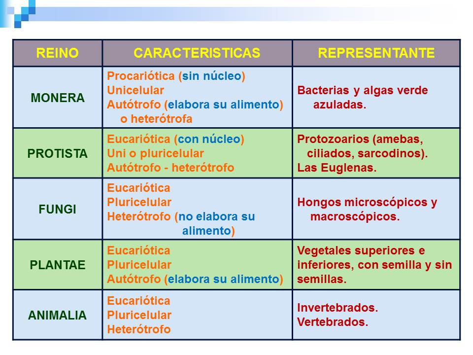 Biología didáctica: NSC 1° - Los Cinco Reinos.